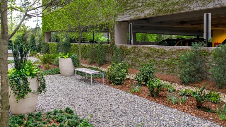 Landscape Design
